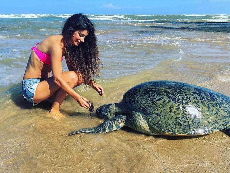 מלון היקדואה Turtle Bay מראה חיצוני תמונה